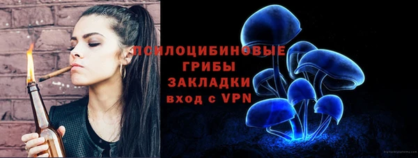дживик Беломорск